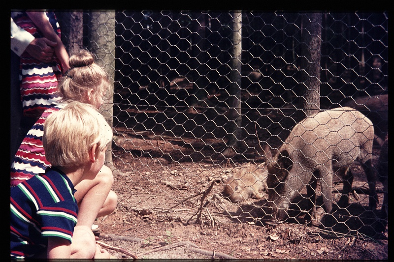 21.Einsiedel jul 1971 Brigitte,Peter.JPG